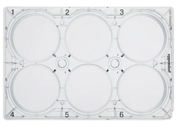 德國艾本德(Eppendorf)Cell Culture Plates,6-Well,無菌無熱原,無RNase和DNase,無人類和細(xì)菌DNA,無細(xì)胞毒素,未處理,5mL,60塊,獨(dú)立包裝