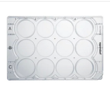 德國艾本德(Eppendorf)Cell Culture Plates,12-Well,無菌無熱原,無RNase和DNase,無人類和細(xì)菌DNA,無細(xì)胞毒素,未處理,2mL,60塊,獨(dú)立包裝